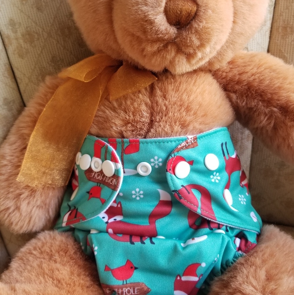 Adjustable, Reusable Diapers- NEW!